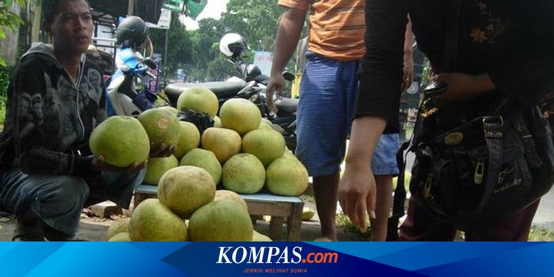 Ini Bukan Jeruk Bali Tapi Jeruk Adas Duku Ini Bukan Jeruk Bali Tapi Jeruk Adas Duku