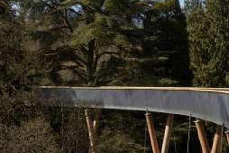 Jembatan di puncak pohon terpanjang di Taman Nasional Westonbirt Arboretum Inggris mulai dibuka Rabu, 27 April 2016