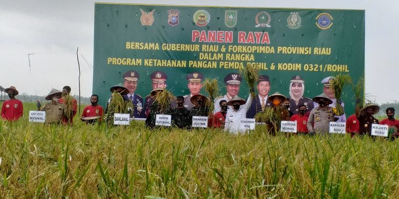 Gubernur Riau Syamsuar bersama Danrem 031/Wira Bima Brigjen TNI M Syech Ismed, Wakapolda Riau Brigjen Pol Tabana Bangun, Dandim 0321/Rohil Letnan Kolonel Arh Agung Rakhman Wahyudi, Sekda Rohil Job Kurniawan dan para petani melakukan panen raya padi hasi kerja sama TNI dengan petani di Kepenghuluan Rokan Baru Pesisir, Kecamatan Pekaitan, Kabupaten Rohil, Riau, Kamis (10/9/2020).