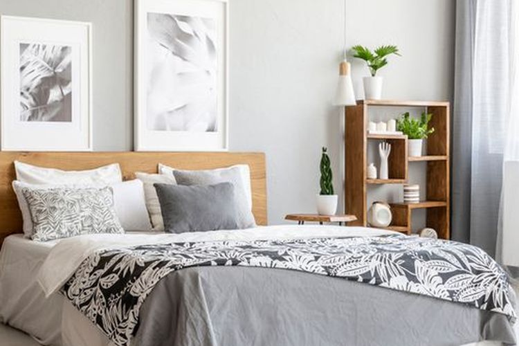 Ilustrasi tanaman hias di kamar tidur.