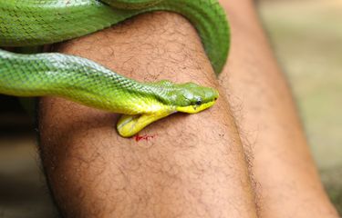 Jinsiy aloqa va mast