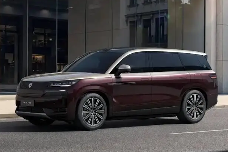 Denza N9