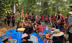 Dukung Pengakuan Masyarakat Adat, TEP UI-Kementrans Dokumentasikan 5 Sub-Suku Dayak