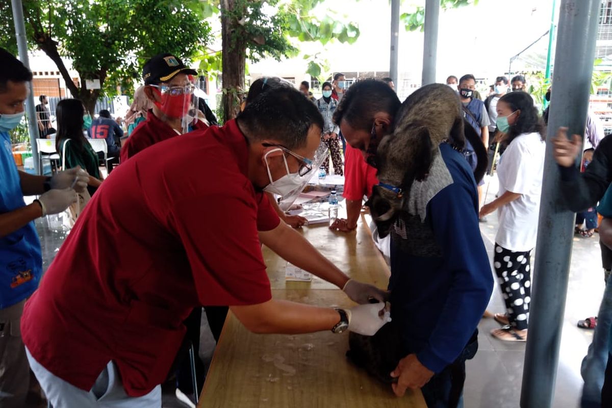 Petugas Sudin KPKP Jakarta Selatan memberikan vaksin gratis kepada binatang peliharaan warga, Sabtu (31/10/2020)