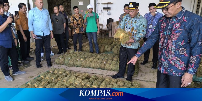 Bupati Pamekasan Enggan Tegur Pengusaha meski Tembakau Petani Dibeli Murah