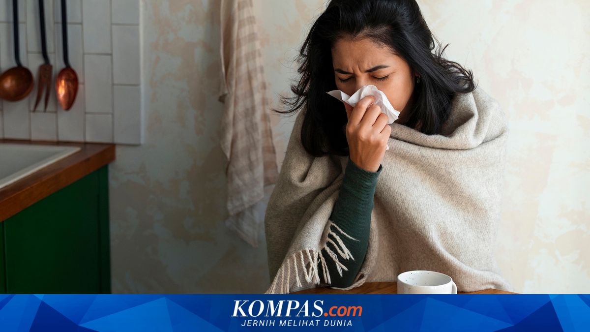 7 Langkah Rekomendasi Dokter agar Flu Lebih Cepat Sembuh