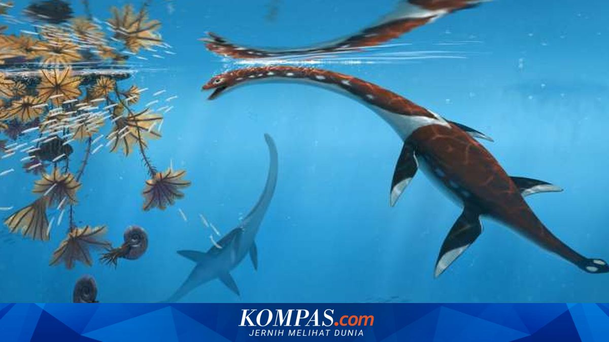 Spesies Reptil Laut Berleher Panjang Ditemukan di Jerman