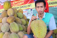 Tak Kalah dengan Montong, Magelang Punya Durian Besar Kumbokarno