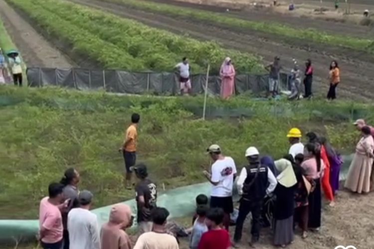 2 Remaja Jepara Tewas di Ladang Cabai Demak, Polisi: Akibat Tersengat Listrik 