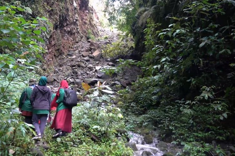 Selama ini telah terjadi perambahan merajalela oleh orang-orang yang tidak bertanggung jawab untuk dijadikan kebun kopi. Makanya sekarang, sudah banyak terjadi longsor, bencana alam terus terjadi di kampung kami.