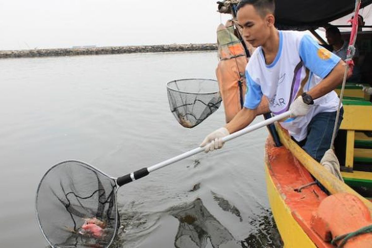 Peserta Bersih-Bersih Pantai sedang mengambil sampah di Laut Jakarta dalam rangka merayakan World Ocean Day di Ancol, Senin (8/6/2015).