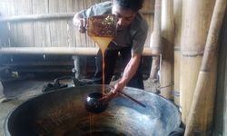 Manisnya Gula Aren di Kaki Gede-Pangrango, yang Lahir dari Tradisi Memahami Karakter Pohon