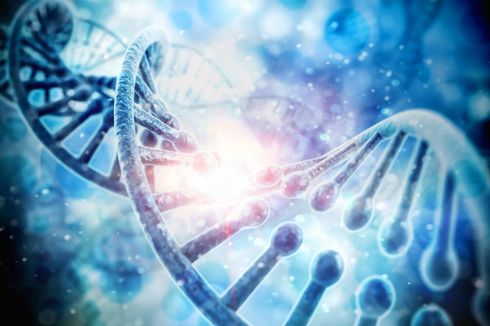 DNA: Struktur dan Fungsinya