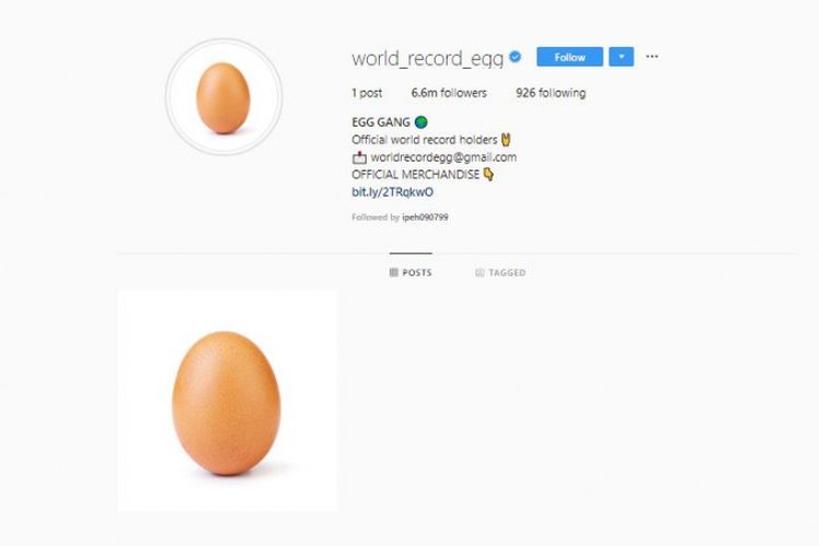 Akun Instagram @world_record_egg