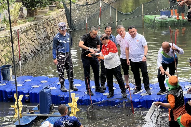 Sungai Jakarta Penuh Ikan Sapu-sapu, Dibiarkan Berbahaya, Dimakan Juga Bahaya
