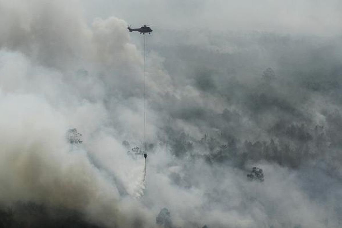 Helikopter Super Puma yang dikerahkan oleh Sinar Mas Forestry menjatuhkan bom air dalam upaya membantu pemadaman kebakaran hutan dan lahan di Desa Bokor, Kecamatan Rangsang Barat, Kabupaten Kepulauan Meranti, Selasa (15/3/2016).