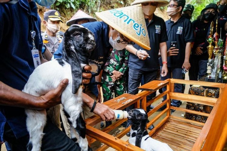 Desa Wisata Pandanrejo di Kabupaten Purworejo, Jawa Tengah.