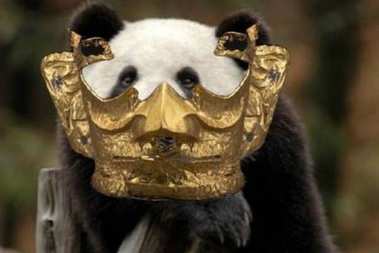 Gambar panda dengan topeng emas berusia 3.000 tahun. [Weibo via BBC]