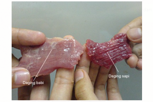 Daging Sapi Oplosan Babi Ditemukan di Pasar Bengkok, DKP Kota Tangerang: 2014 Pernah Terjadi