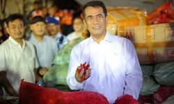 Bantu Petani Aceh, Mentan Amran Borong 40 Ton Cabai