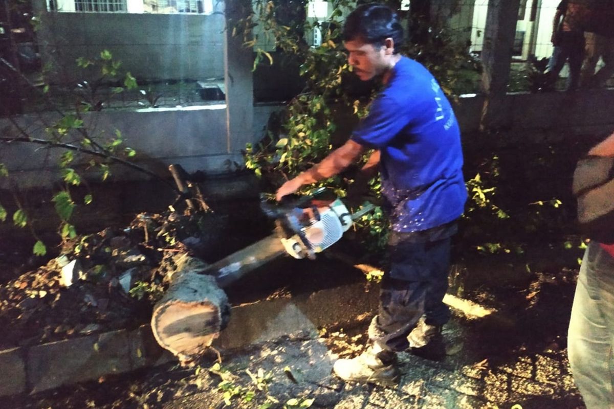 Seorang petugas memotong batang pohon yang tumbang di Perumahan Indraprasta, Kelurahan Tegal Gundil, Kecamatan Bogor Utara, Kota Bogor, Kamis (10/10/2019).