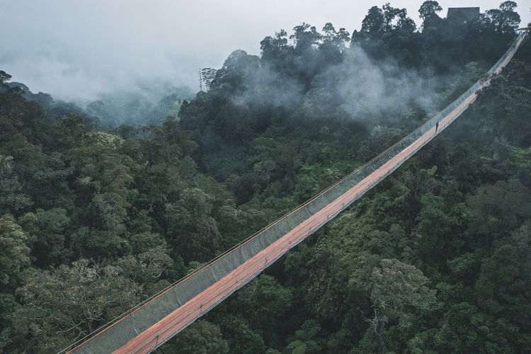  Rengganis Suspension Bridge wisata baru di Rancabali, Bandung yang diklaim sebagai jembatan gantung terpanjang di Asean