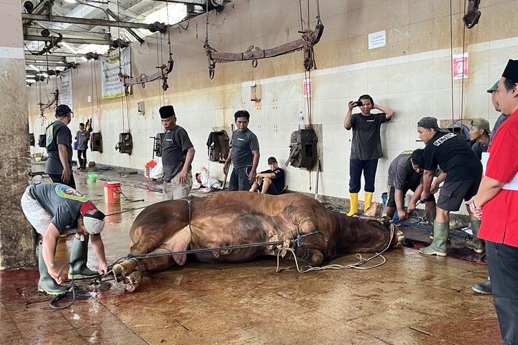 Sempat Ditolak dan Didemo, Rencana Relokasi RPH Surabaya Tak Pengaruhi Jumlah Pelanggan