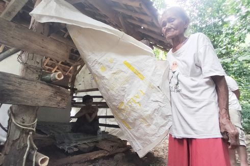 Cerita Pilu Nenek Desti, Belasan Tahun Rawat Anak ODGJ, Rumah Ambruk, Anaknya Kini Tinggal di Kandang Sapi