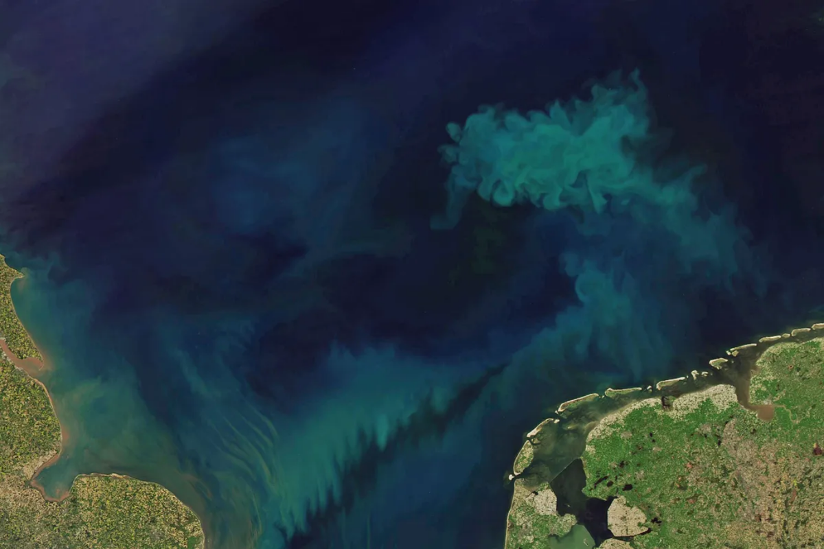 Studi mengungkapkan lautan di dunia mengalami perubahan warna. Tampak gambar laut Bumi yang menghijau dipotret menggunakan satelit.