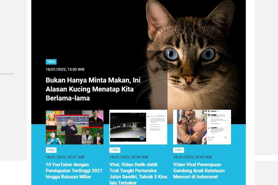 [POPULER TREN] Alasan Kucing Menatap Kita Berlama-lama | Tentang Ibu Kota Baru Nusantara