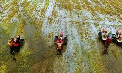 Kementan Siap Kembangkan Lahan Rawa untuk Tingkatkan Produktivitas Pertanian Nasional 