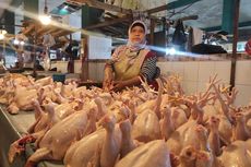 Stok Sempat Kosong Dua Hari, Harga Ayam di Balikpapan Melambung