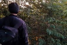 Pria yang Motornya Nyangkut di Pohon Bambu, Sempat Diduga Mabuk