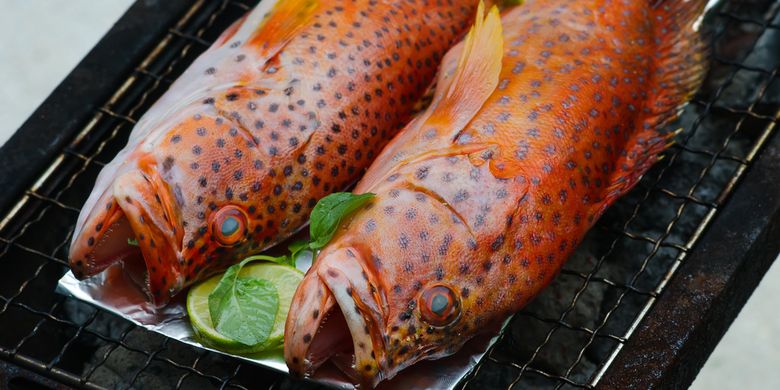 Masak Ikan Kerapu Ini Cara Terbaik Mengolahnya Halaman All Kompas Com