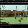 Beredar Foto Air Banjir di Pekalongan Berwarna Hijau, Apa Sebabnya?