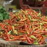 Panen Melimpah, Harga Cabai di Purworejo Turun Jadi Rp 36.000 Per Kg