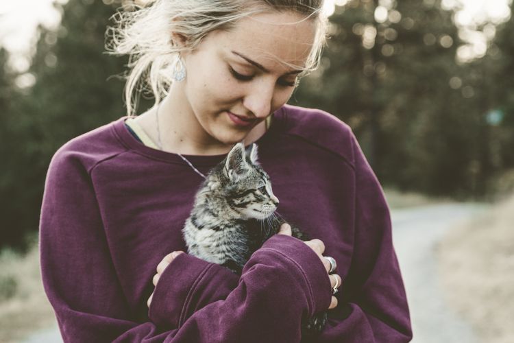 cara menunjukkan kasih sayang kepada kucing.