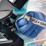 Indonesia Aims to Export Covid-19 Vaccine Manufactured by State-Run Bio Farma