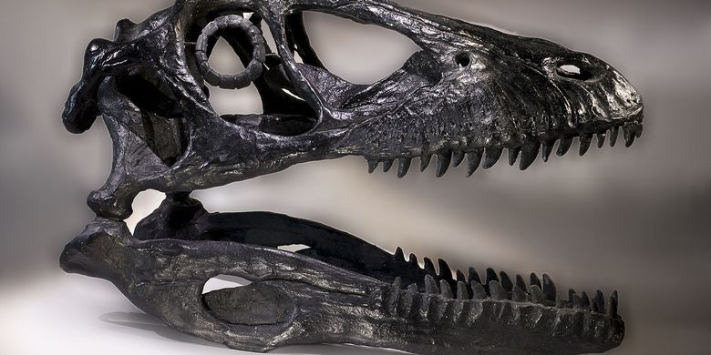 Ilustrasi dinosaurus predator, raptor Deinonychus antirrhopus .