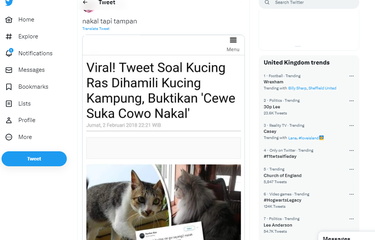 Tangkap layar unggahan yang sebut kucing ras suka dihamili kucing kampung.