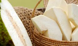Buah Sukun Bisa Jadi Alternatif Pangan Pengganti Beras