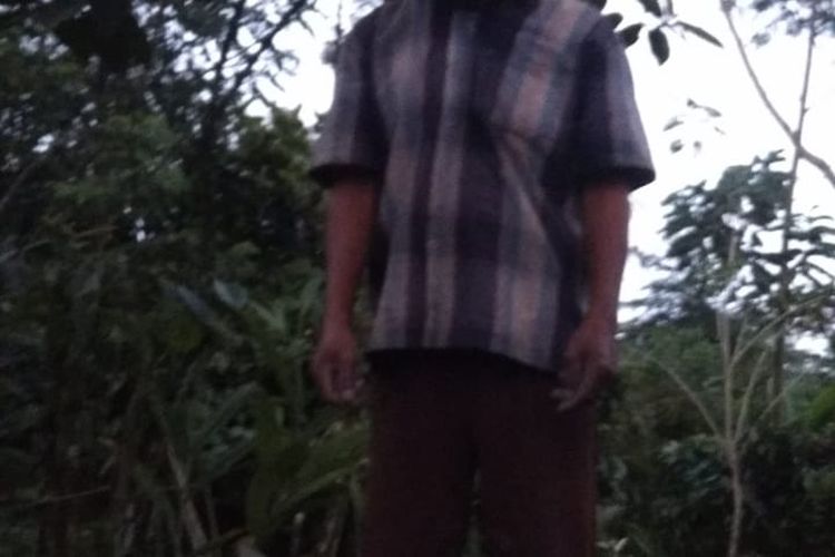 Seorang kakek di Lumajang, Jawa Timur, Sunarno, gantung diri di pohon kopi, Rabu (27/3/2024).