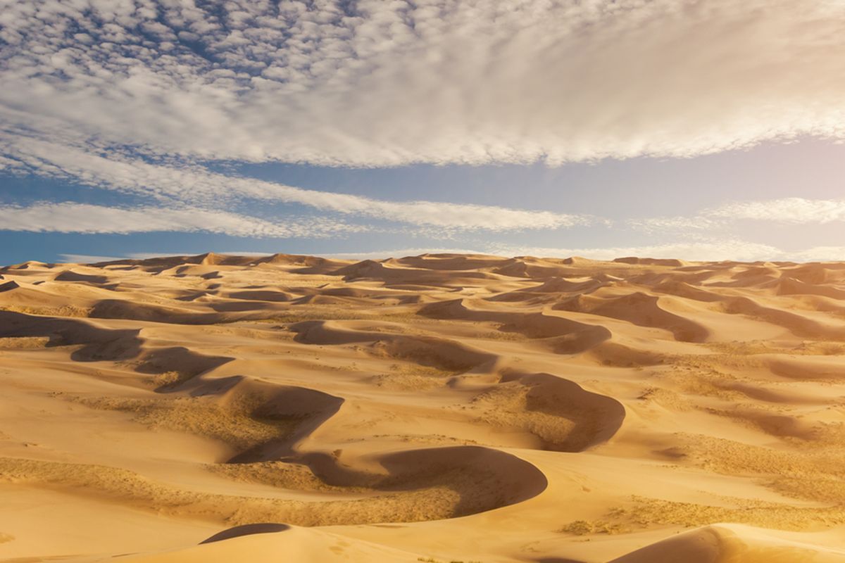 Suhu panas akibat pemanasan global di Bumi, terasa seperti di Gurun Sahara.