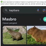 Ramai soal Kapibara Disebut 