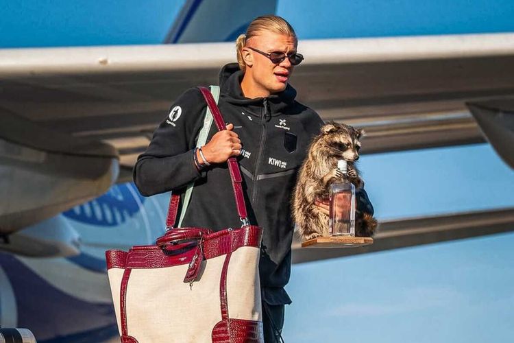 Erling Haaland Tenteng Tote Bag Dolce & Gabbana dan Rakun Awetan Saat Pulang dari Piala Dunia