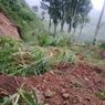 5 Jam Hujan Guyur Lereng Gunung Wilis, Tanah Longsor Timbun Jalan Alternatif Madiun-Telaga Ngebel Ponorogo