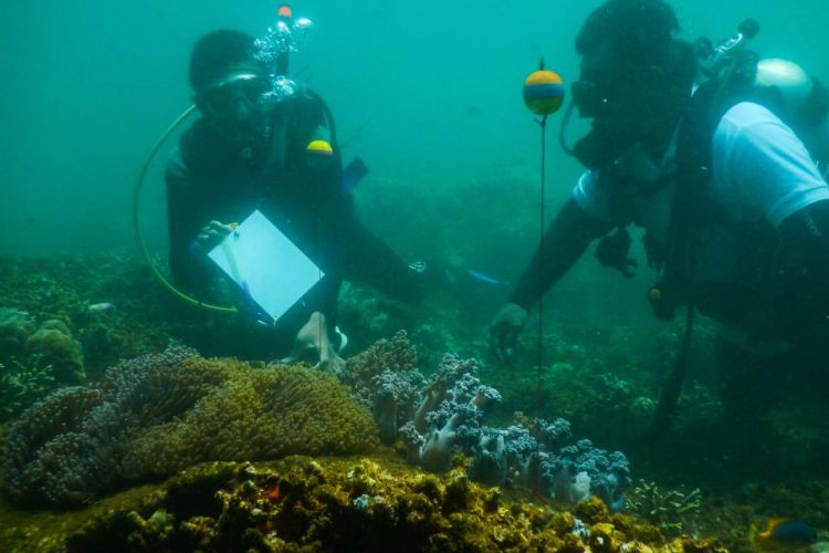 Pengawasan ikan Nemo selama 48 jam di perairan Pantai Bangsring Banyuwangi, Jawa Timur, Jumat (6/4/2018).