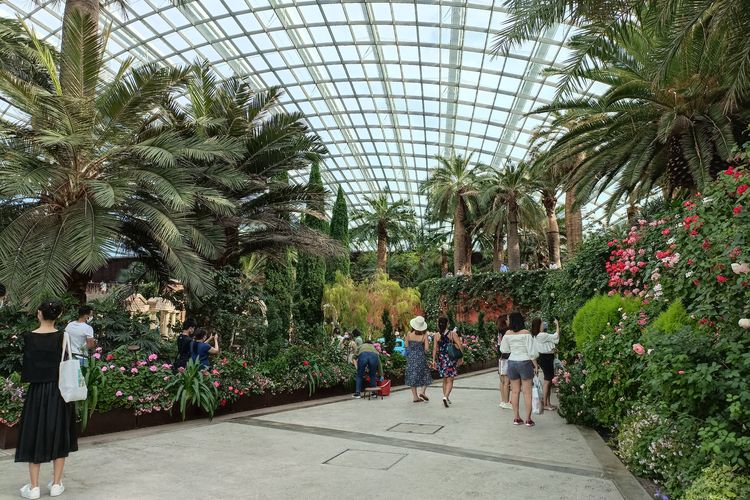 Suasana di Flower Dome, Gardens by the Bay Singapura.