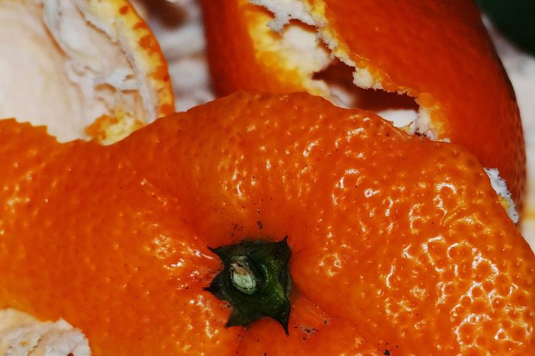 Ilustrasi kulit jeruk. 