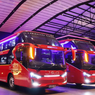 PO JRG Luncurkan Dua Sleeper Bus Rakitan Laksana